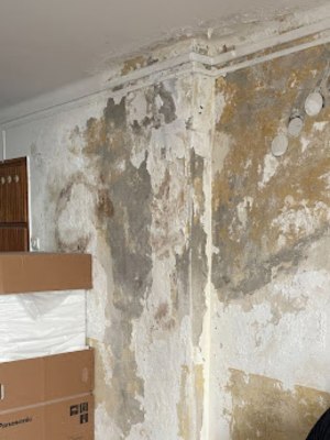 Esőlefolyók bélelése RainFlex® technológiával